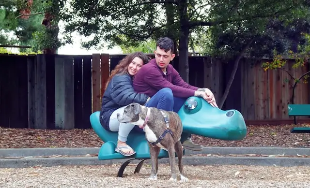 Couples on their first date riding a plastic dinosaurs in an open park.